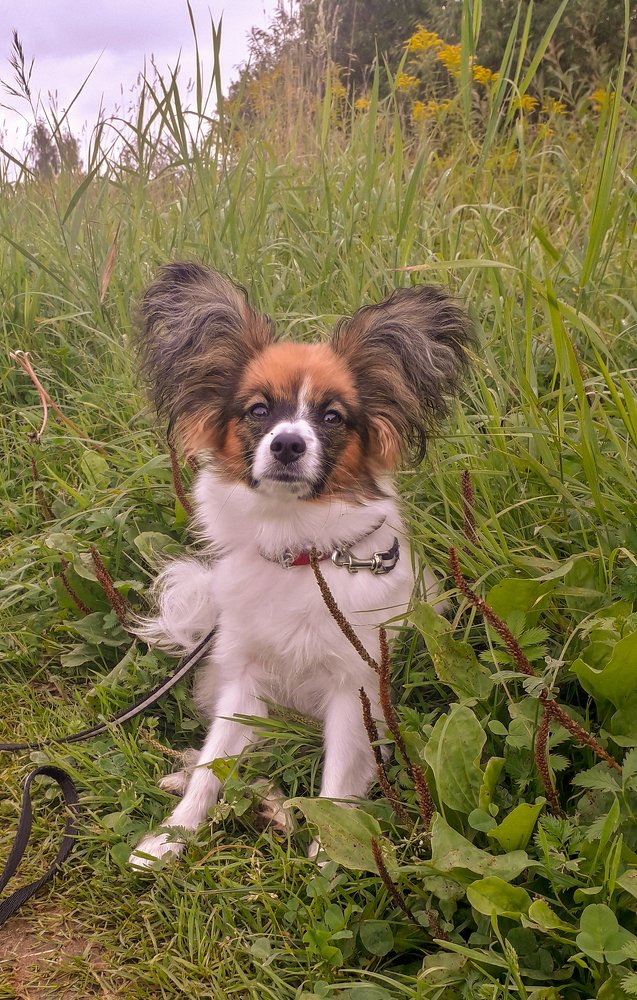 Photograph by Andrejs Peculevics