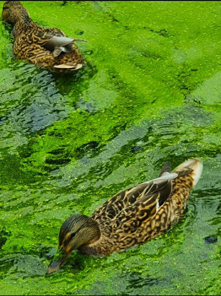 Photograph by Руслан