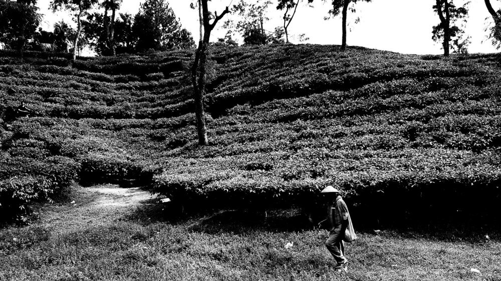 Photograph by Ahmed Jahin Akif