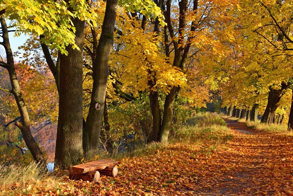 Photograph by Ирина Алексеева