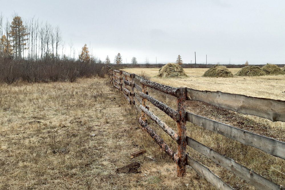 Фотография автора Светлана Барнадаева