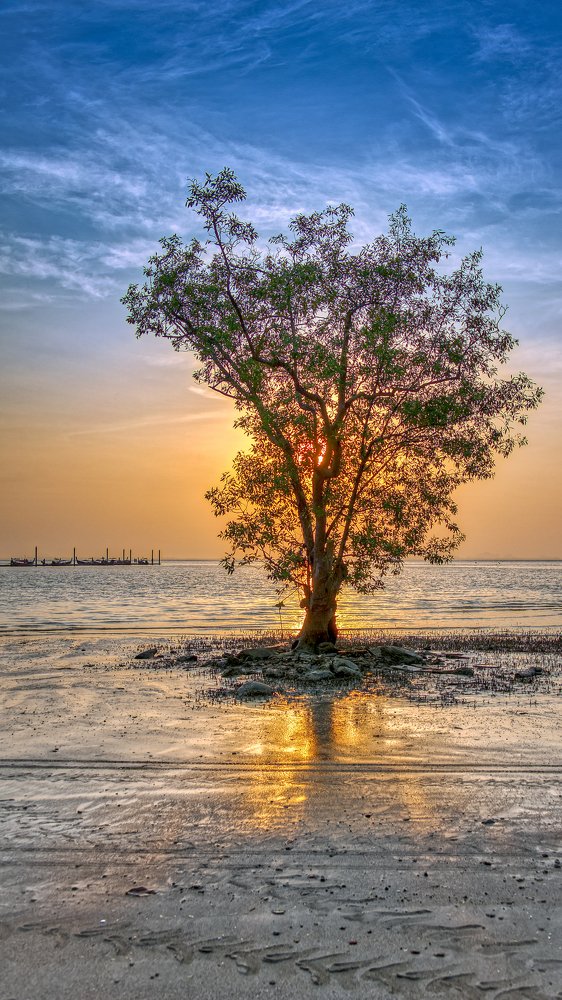 Photograph by Сергей Малеев