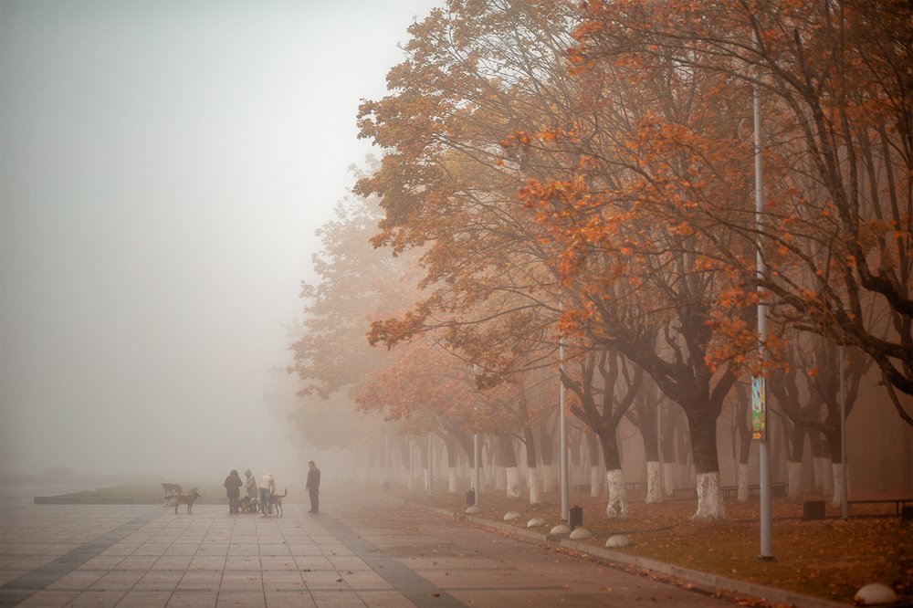 Photograph by Ирина Малина