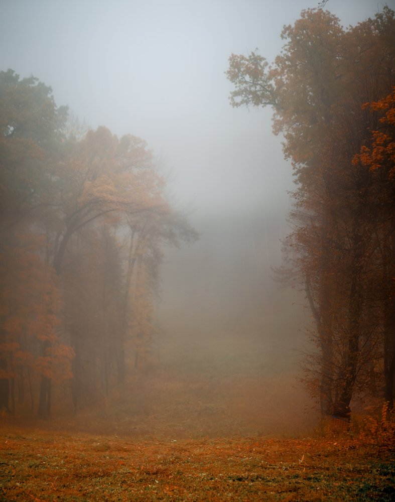 Photograph by Ирина Малина