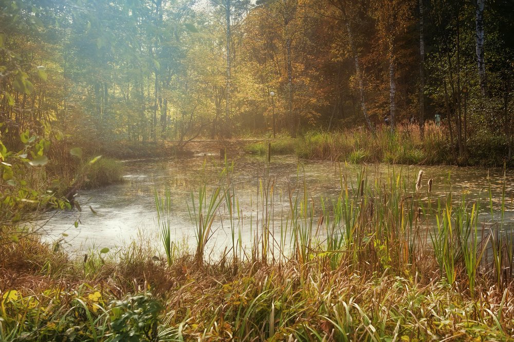 Photograph by Irina Grigoryeva