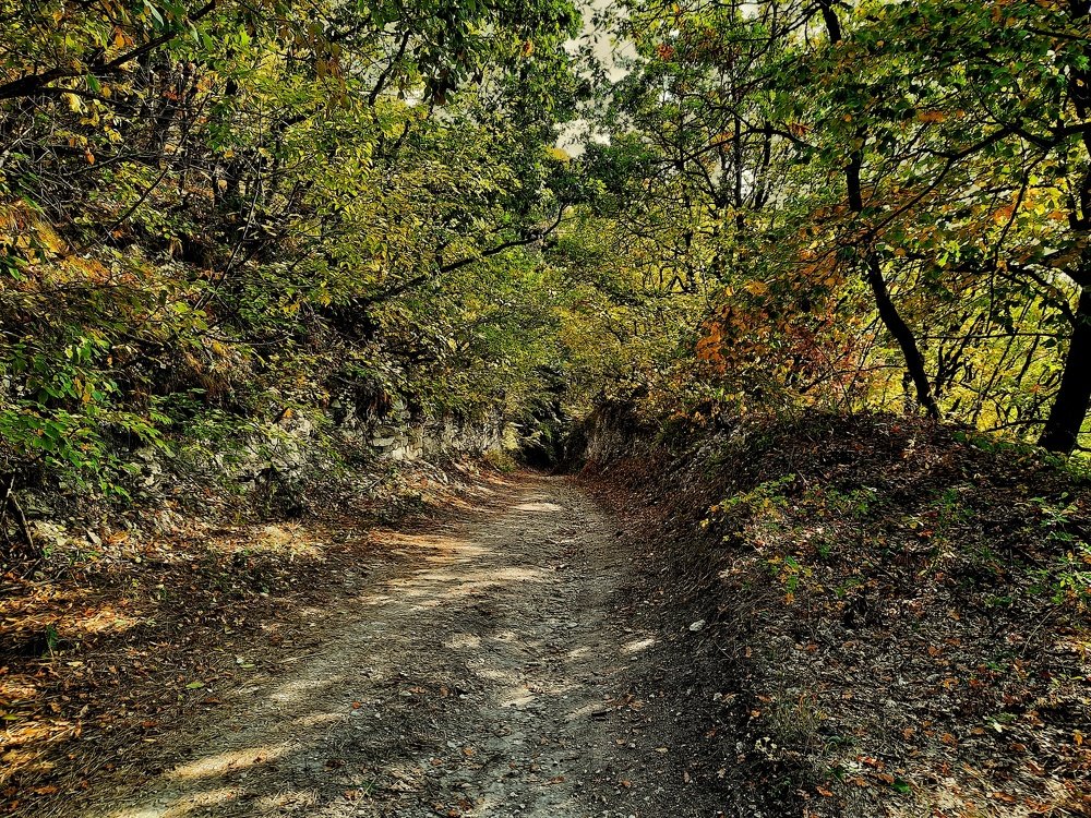 Photograph by Тимур Байкулов