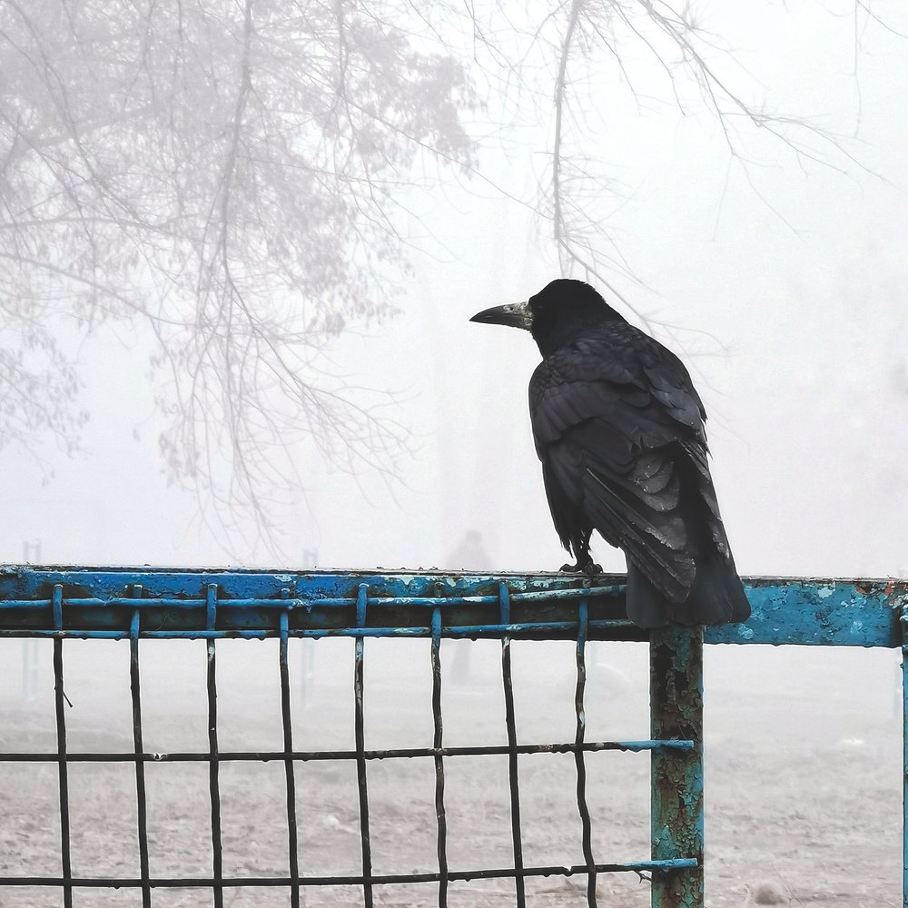 Photograph by Станислав Сычик