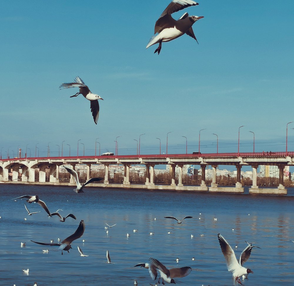 Photograph by Станислав Сычик