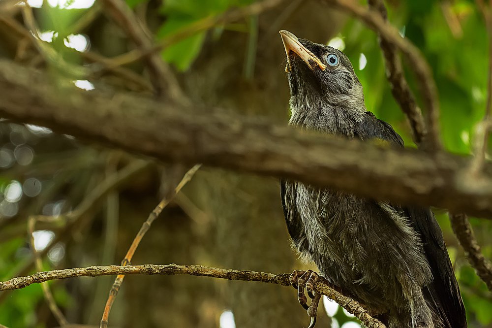 Photograph by Андрей Симаков