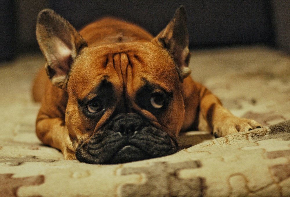 Photograph by Станислав Сычик