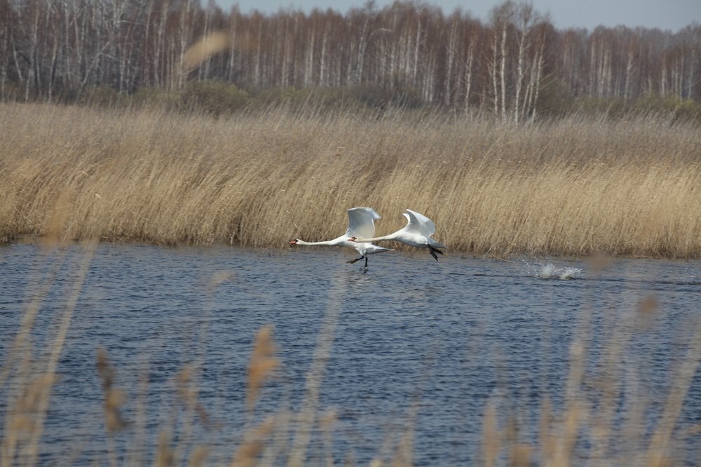 Фотография автора Валерий Каргин