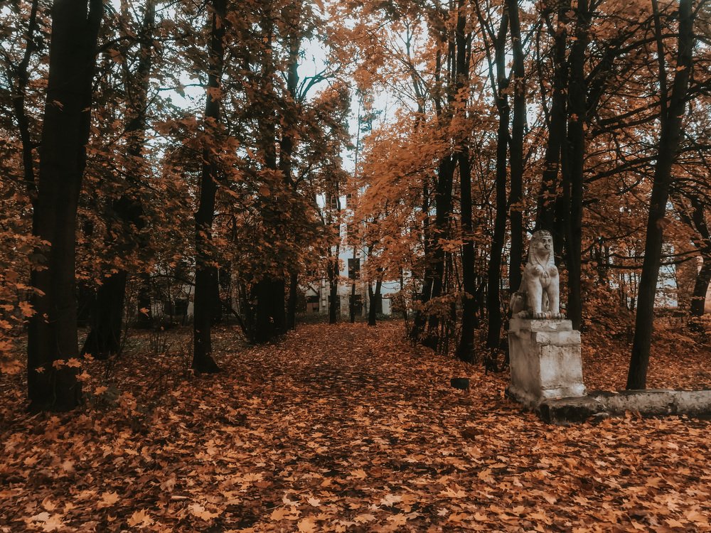 Photograph by Татьяна