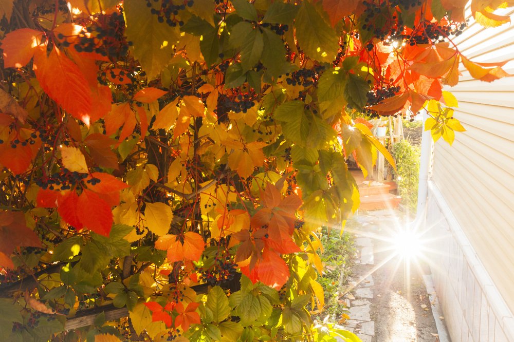 Фотография автора Валерий Каргин