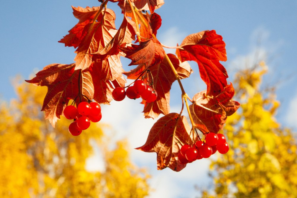 Фотография автора Валерий Каргин
