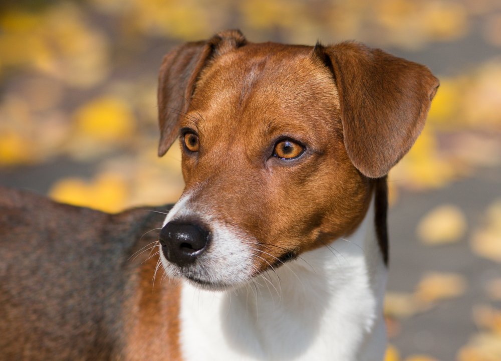 Photograph by Vitali Mikhailiuk