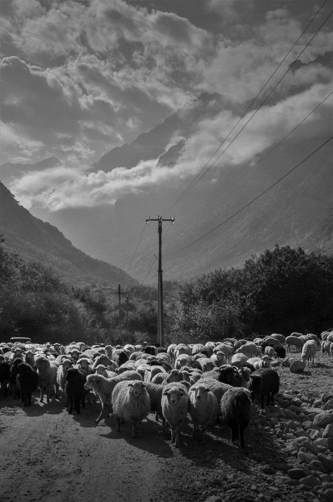 Photograph by Илья Кузнецов