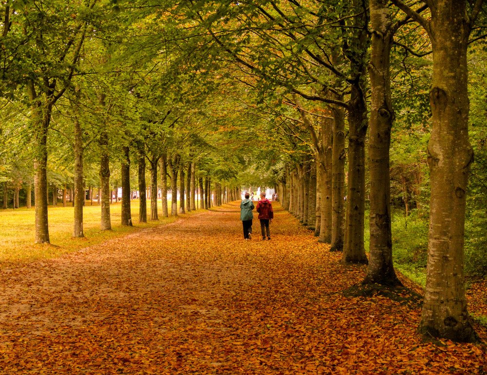 Photograph by Gerard Ngo