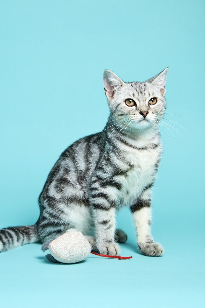 Photograph by Krid Karnsomdee