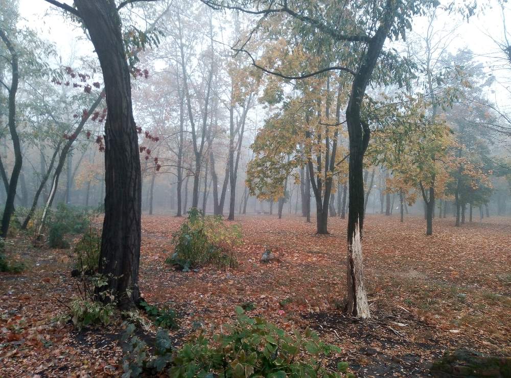 Photograph by Ольга Истомина