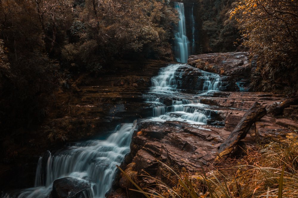 Photograph by Gerard Ngo