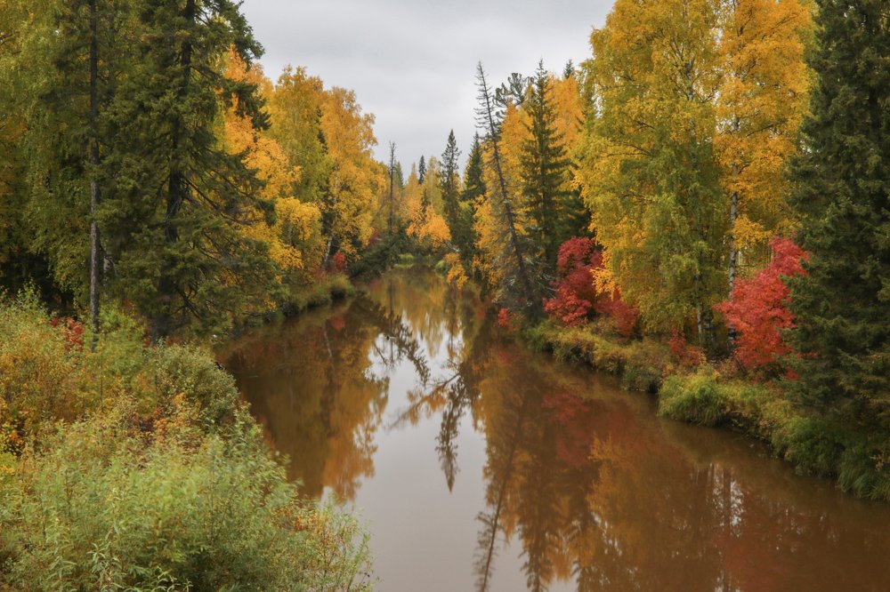 Photograph by Сергей Романченко