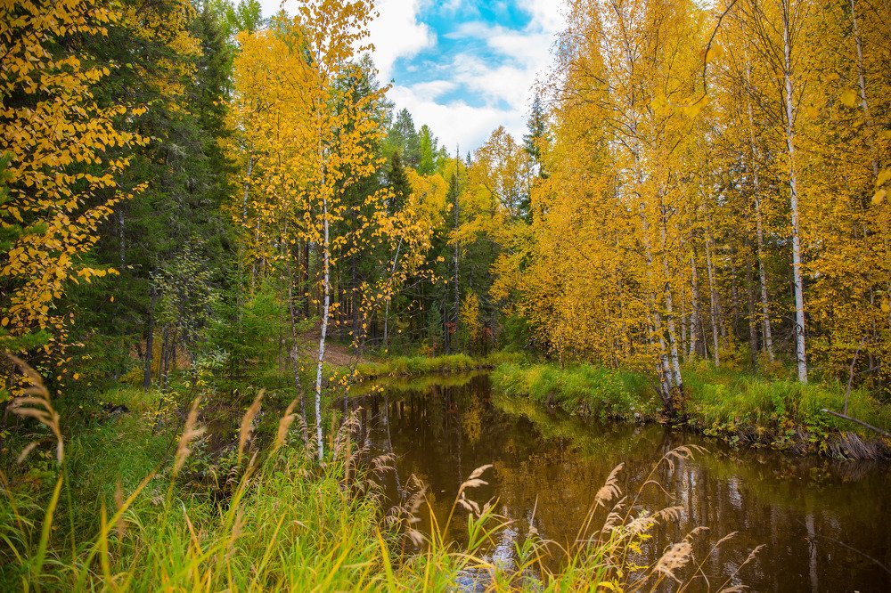 Photograph by Сергей Романченко