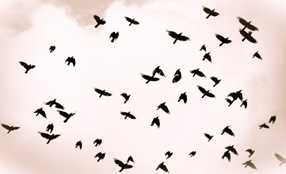 Photograph by Vitali Mikhailiuk