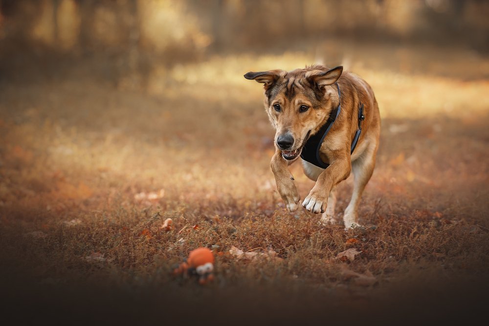 Photograph by Динара