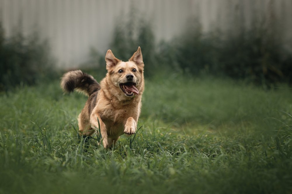 Photograph by Динара