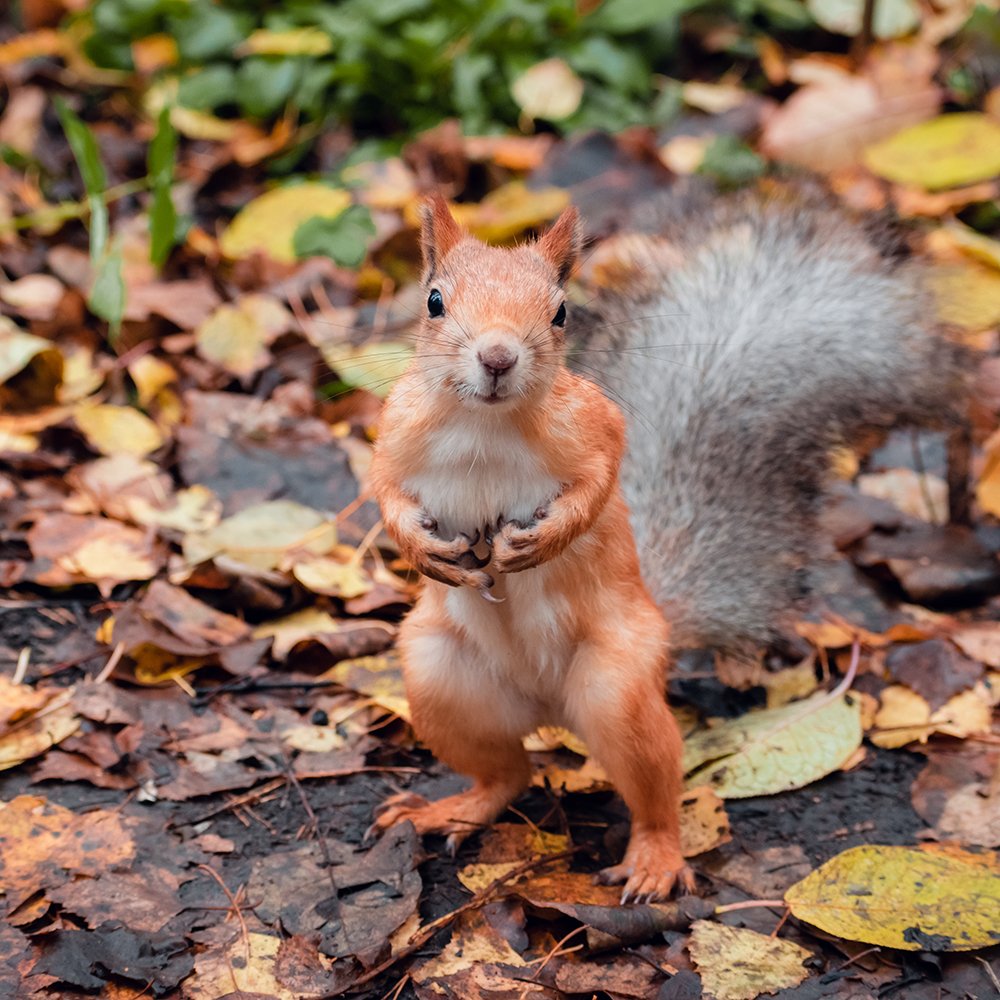 Photograph by Беловодченко