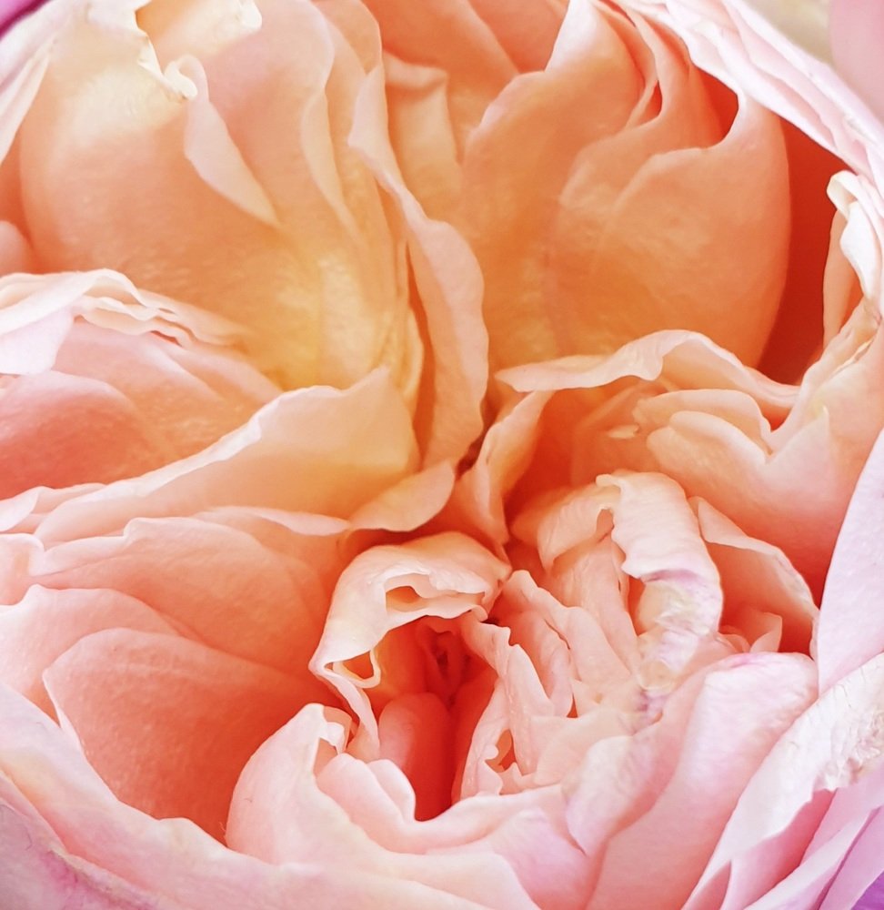 Photograph by Полина