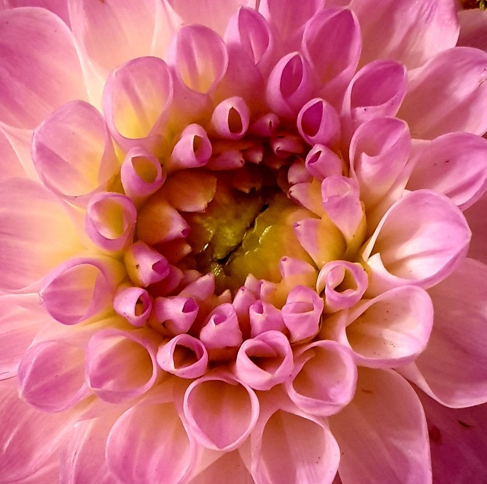Photograph by Полина
