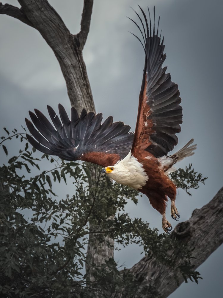 Photograph by Iris Lara