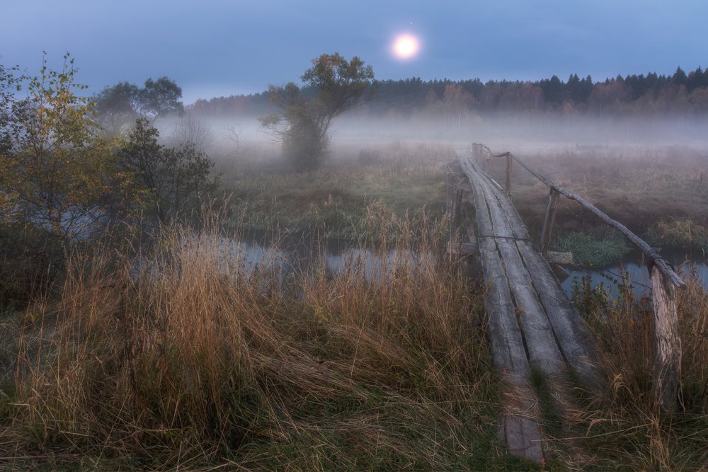 Фотография автора Евгений Ерохин