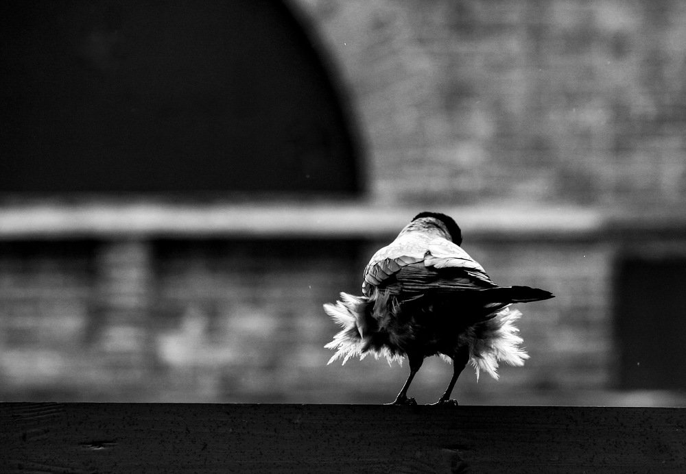 Фотография автора Sergey Sokolovsky