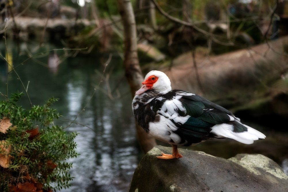 Photograph by Ирина Ульянова