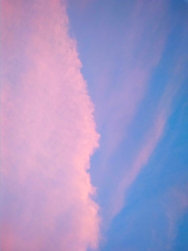 Photograph by Maria Pinigina