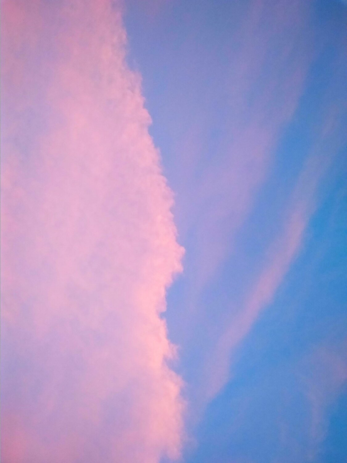 Photo #5061609