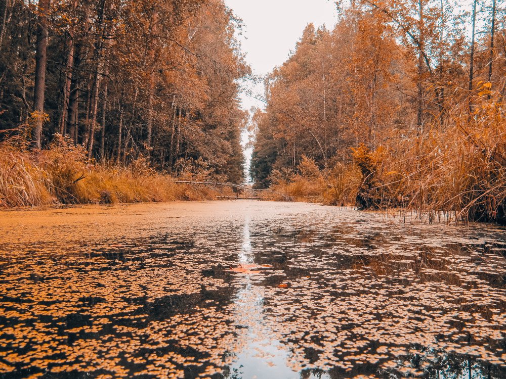 Photograph by Виктория Писаренко