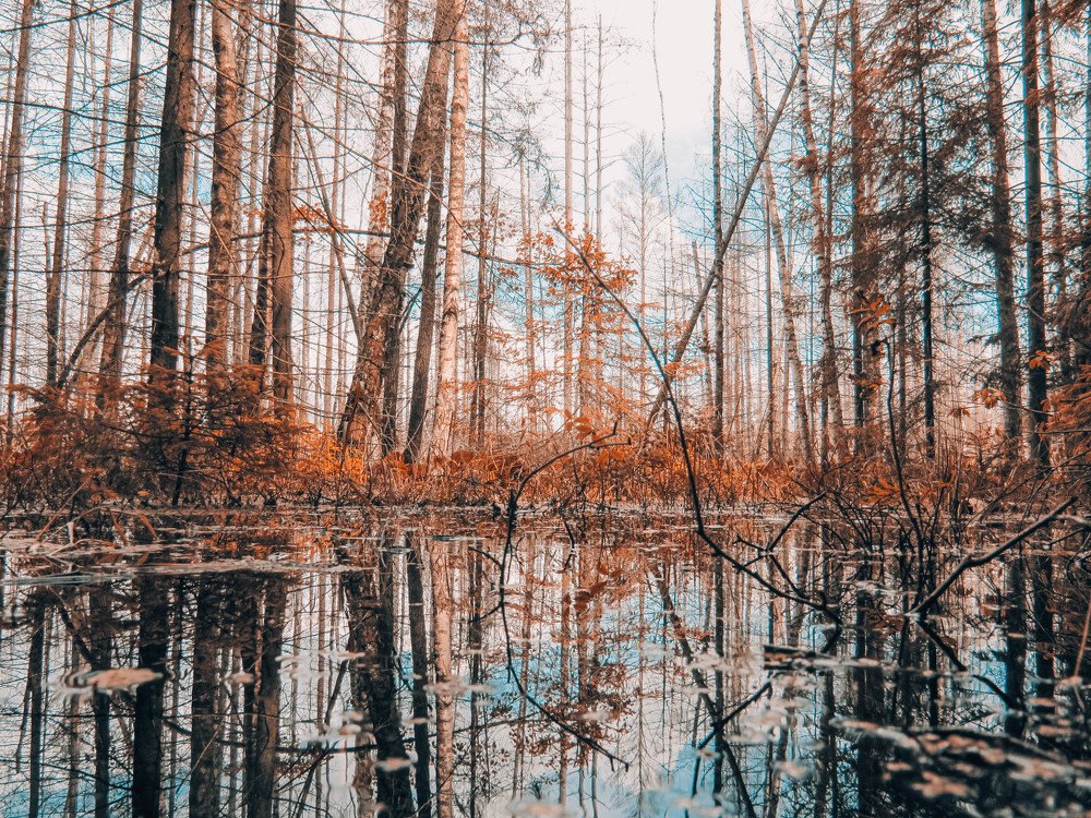 Photograph by Виктория Писаренко