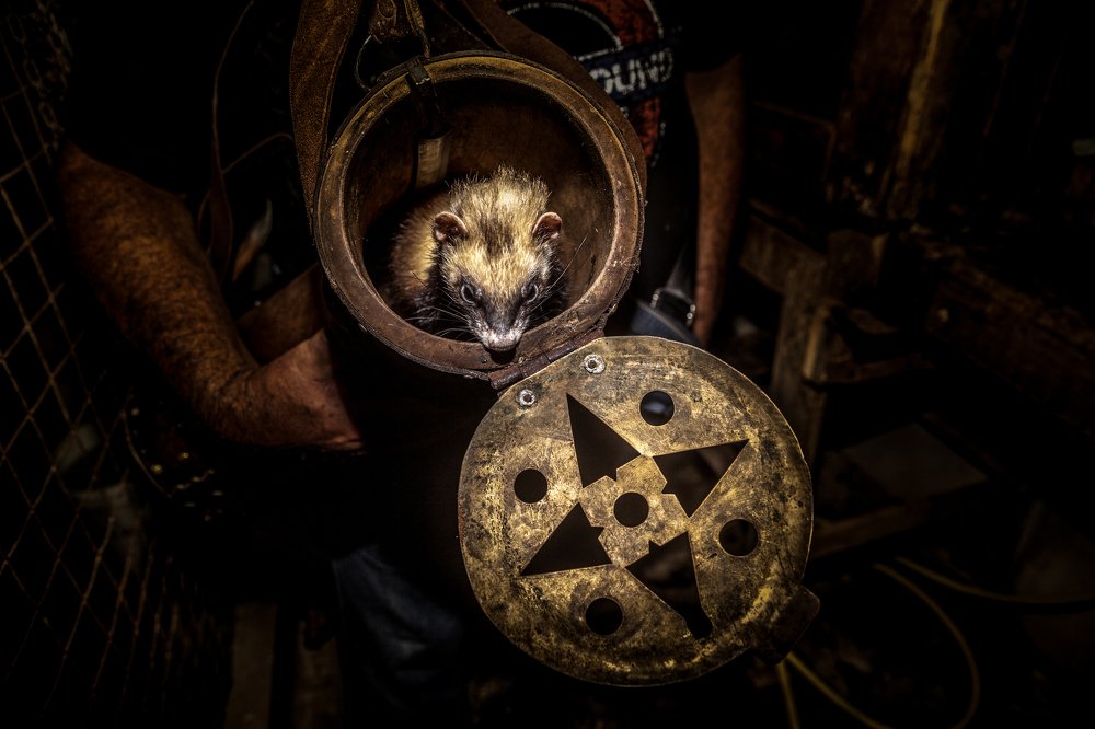 Photograph by Jose Luis Mendez Fernandez