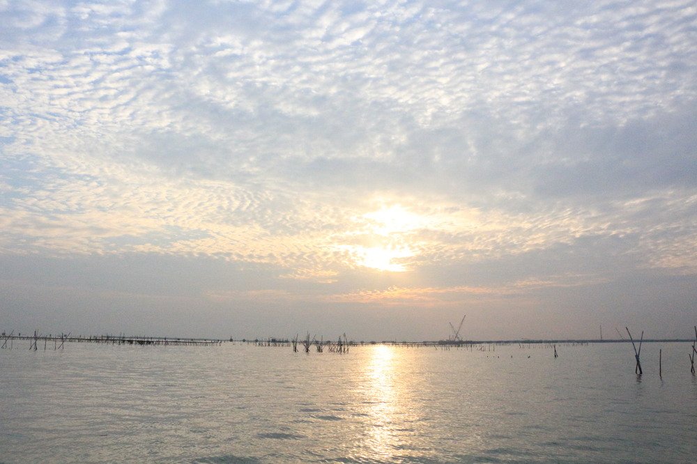 Фотография автора Ib Mang