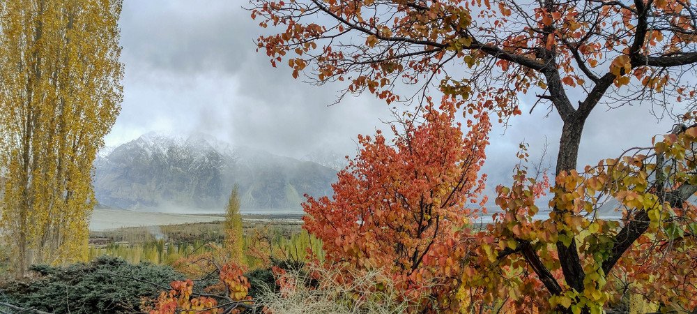 Colours of Autumn.