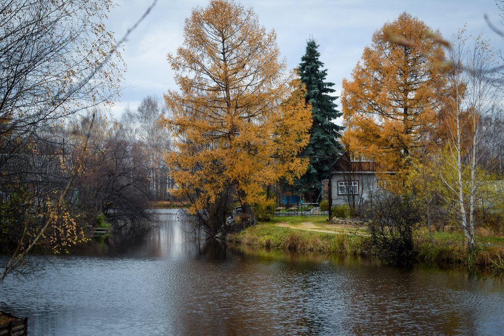 Photograph by Елизавета Никулина