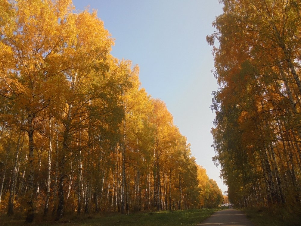 Цвет осени.