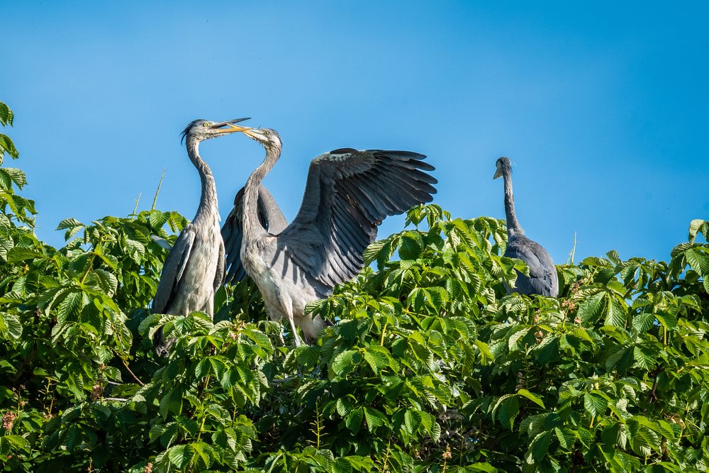 Photograph by Сергей Нагель-Синегубов