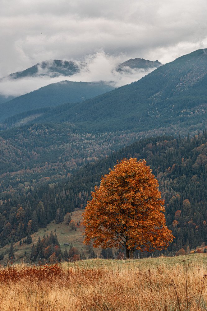 Photograph by Robert