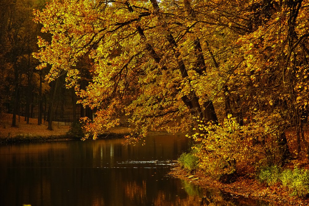Осенний пейзаж