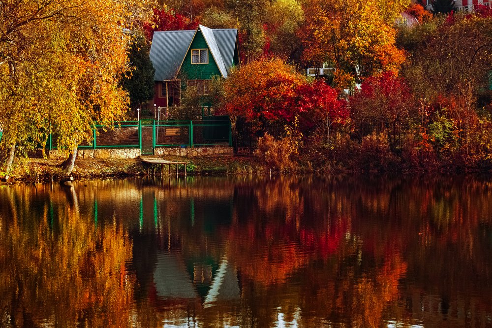 Photograph by Sodomelle Flavian