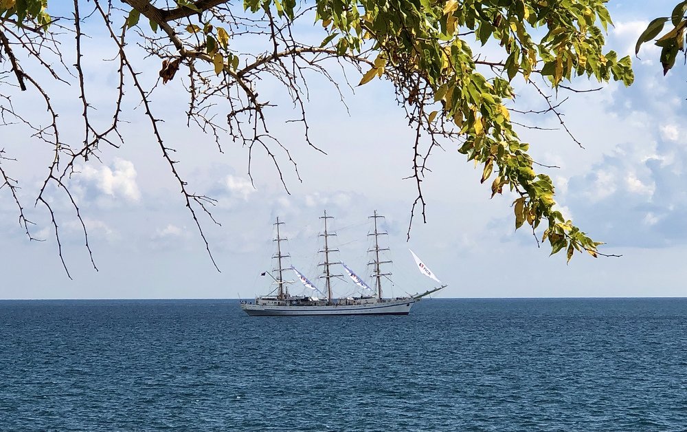 Photograph by Светлана Приходько